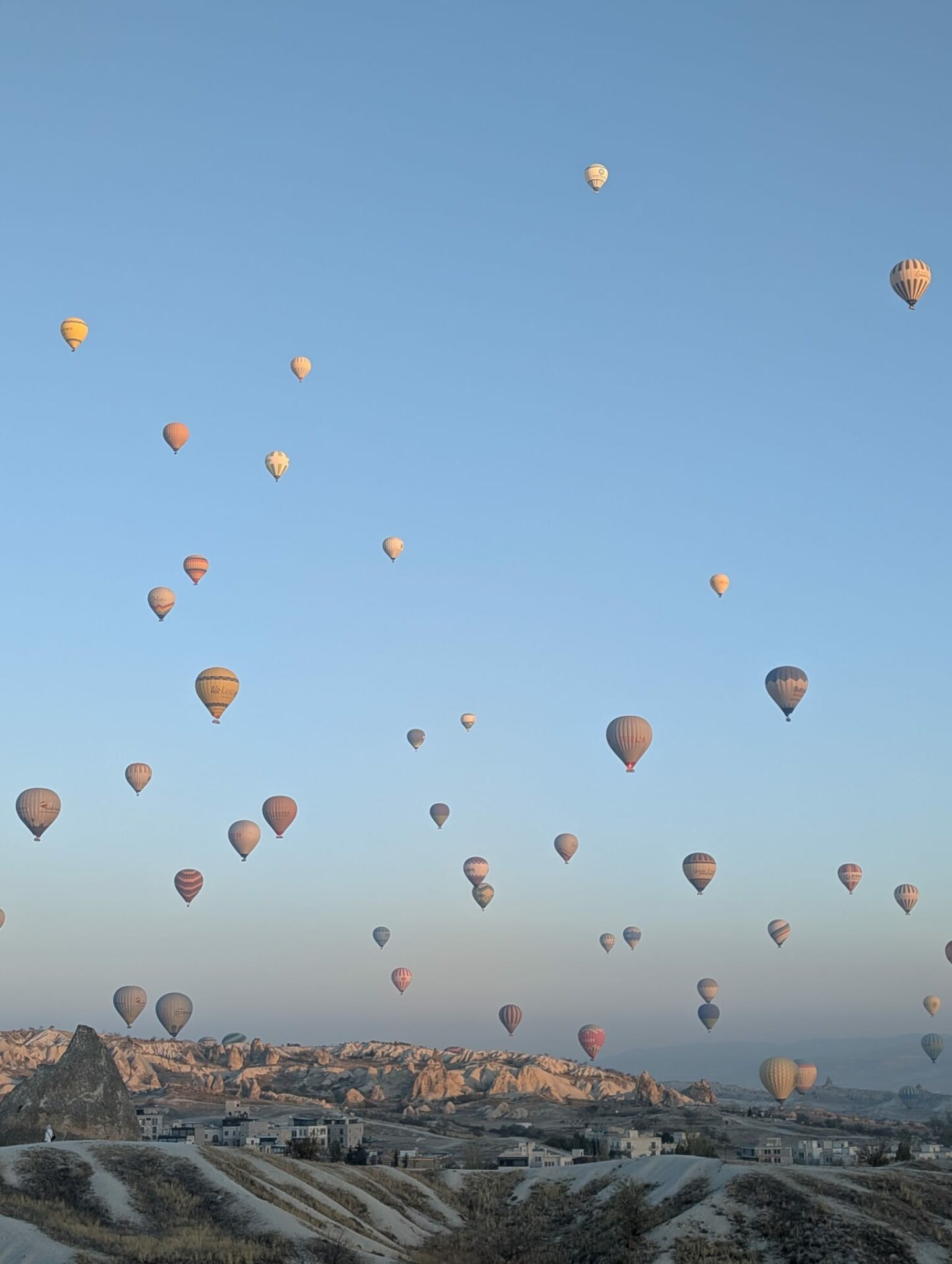 whatsapp-image-2026-02-02-at-01-14-23-1