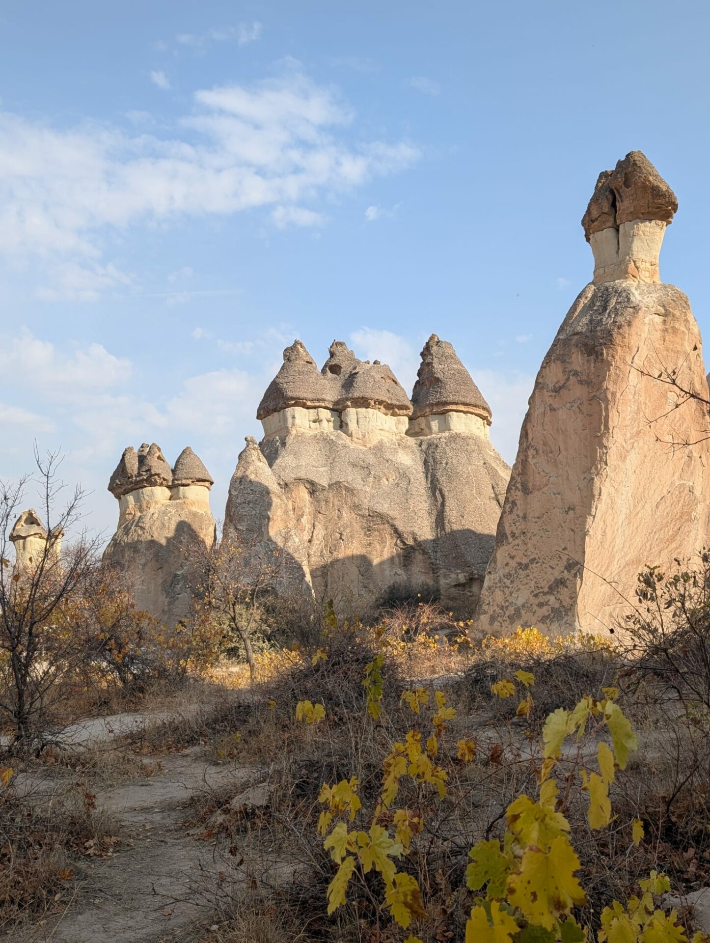 whatsapp-image-2026-02-02-at-01-14-23-4