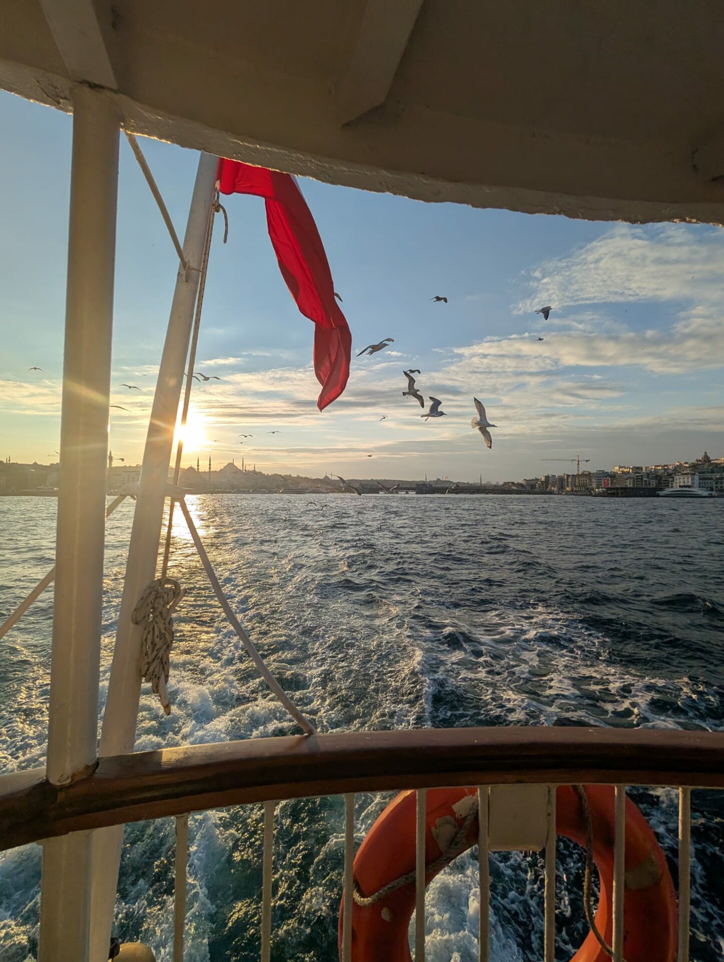 whatsapp-image-2026-02-02-at-01-14-34-4