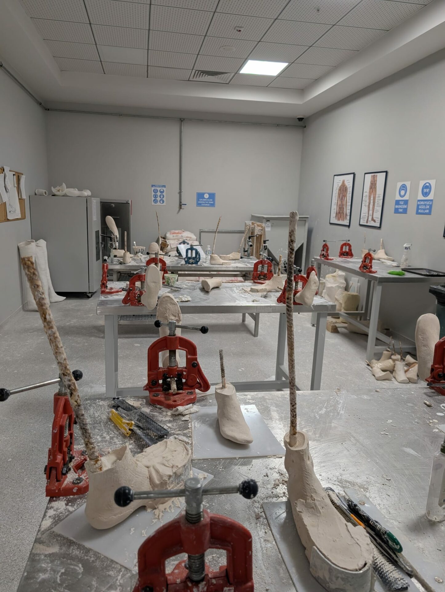 whatsapp-image-2026-02-02-at-01-14-35